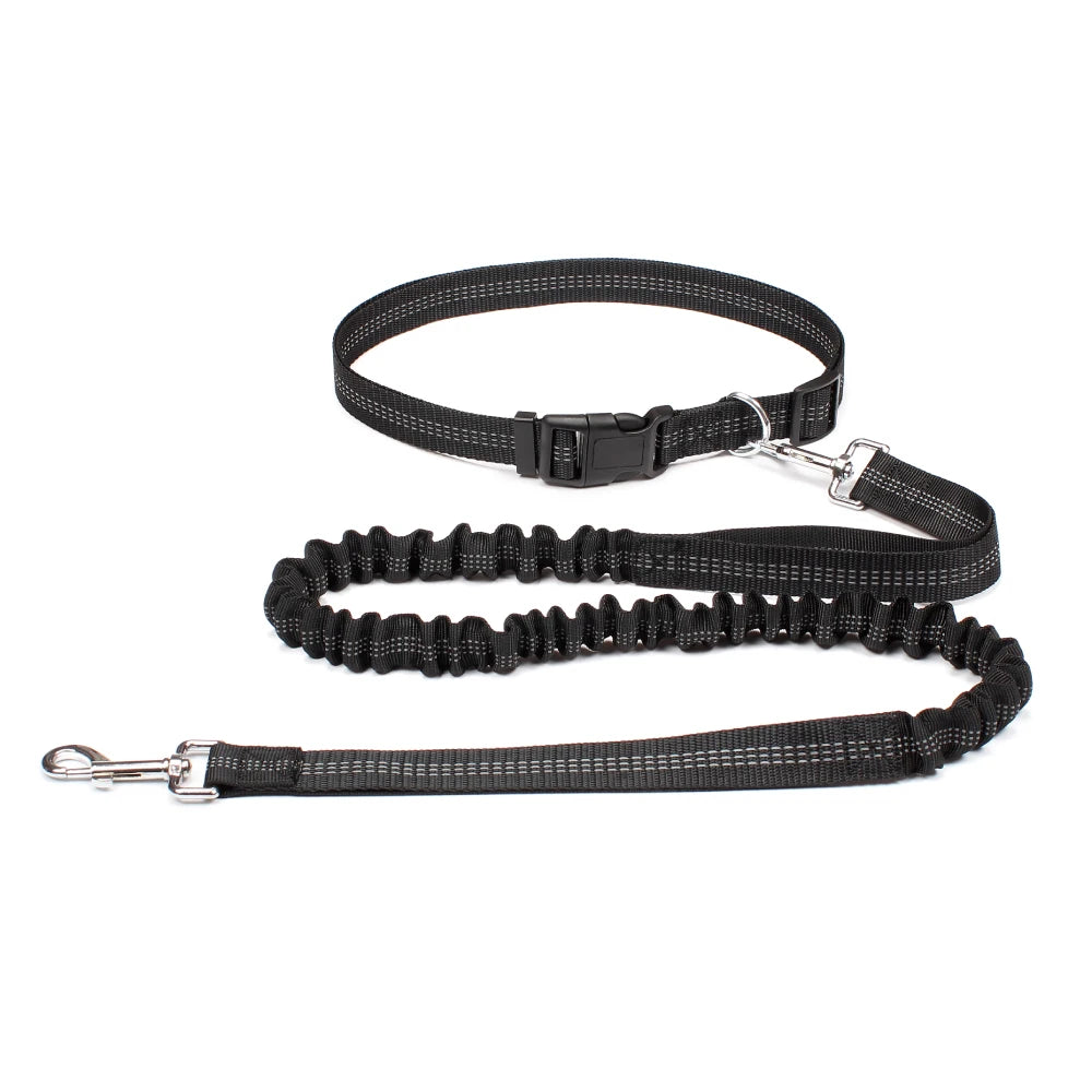 JogAlong Leash