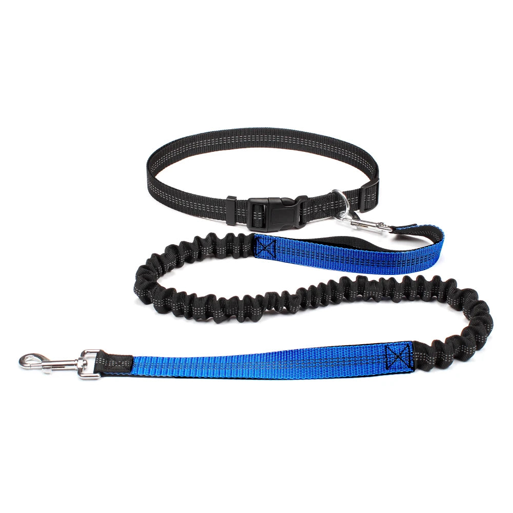 JogAlong Leash