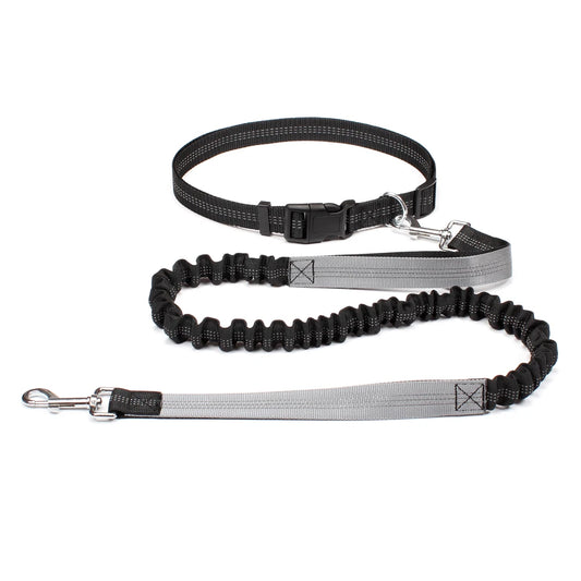 JogAlong Leash