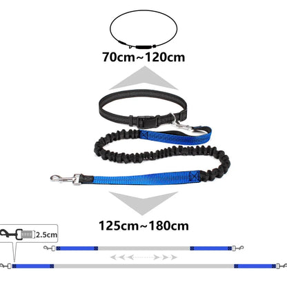 JogAlong Leash