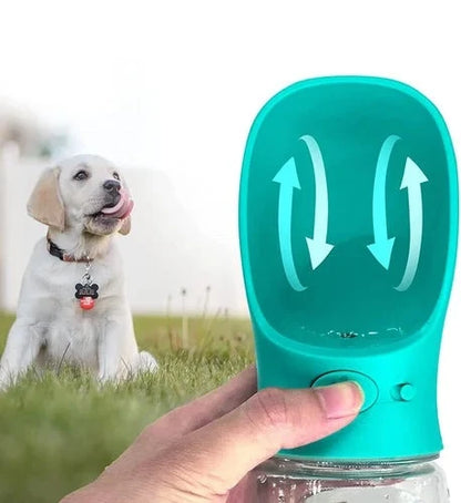 Portable Pup Hydration Station